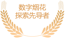 數字煙花探索先導者