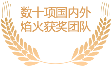 數十項國內外焰火獲獎團隊