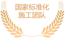 國家標準化施工團隊
